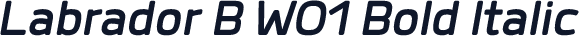 Labrador B W01 Bold Italic