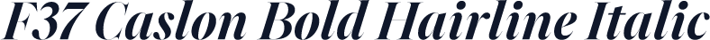 F37 Caslon Bold Hairline Italic