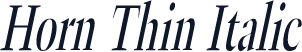 Horn Thin Italic