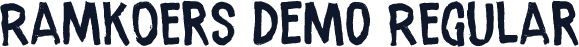 Ramkoers DEMO Regular