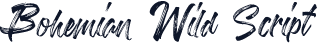 Bohemian Wild Script