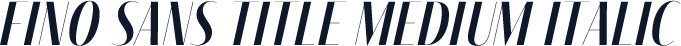 Fino Sans Title Medium Italic