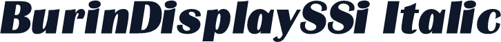 BurinDisplaySSi Italic