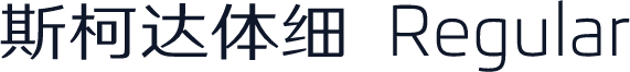 斯柯达体细 Regular