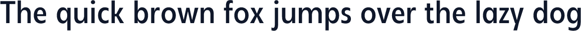 NeueRemanSans-MediumCondensed
