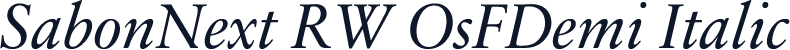SabonNext RW OsFDemi Italic