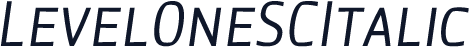 ☞LevelOneSCItalic