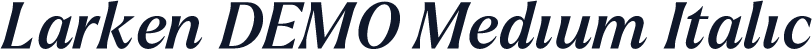 Larken DEMO Medium Italic