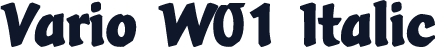Vario W01 Italic