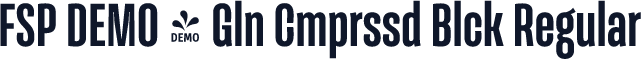 FSP DEMO - Gln Cmprssd Blck Regular