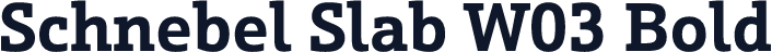 Schnebel Slab W03 Bold