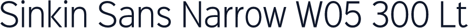 Sinkin Sans Narrow W05 300 Lt