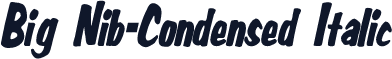Big Nib-Condensed Italic