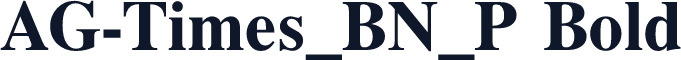 AG-Times_BN_P Bold