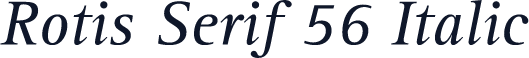 Rotis Serif 56 Italic