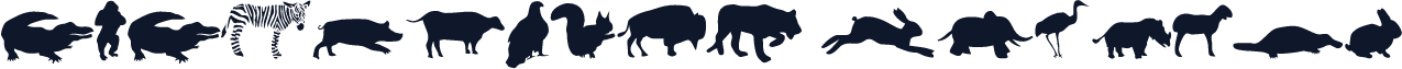AMAZONfont Regular