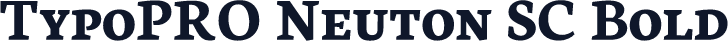 TypoPRO Neuton SC Bold