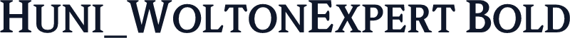 Huni_WoltonExpert Bold