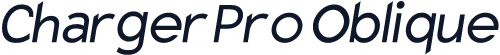 Charger Pro Oblique
