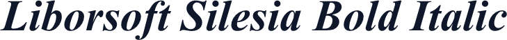 Liborsoft Silesia Bold Italic