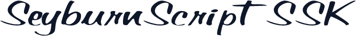 SeyburnScriptSSK