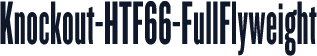 Knockout-HTF66-FullFlyweight
