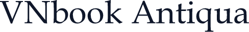 VNbook Antiqua