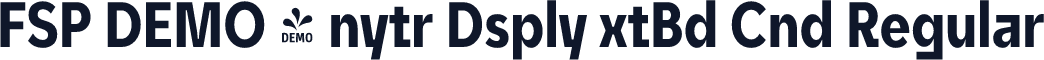 FSP DEMO - nytr Dsply xtBd Cnd Regular