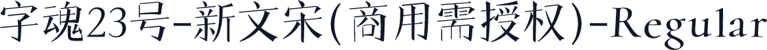 字魂23号-新文宋(商用需授权)-Regular