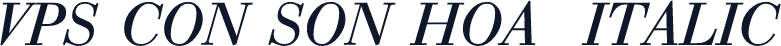 VPS Con Son Hoa  Italic