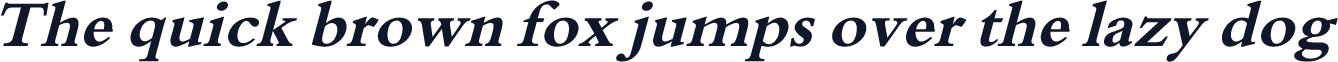 XB Niloofar Bold Italic