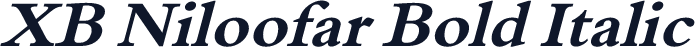 XB Niloofar Bold Italic