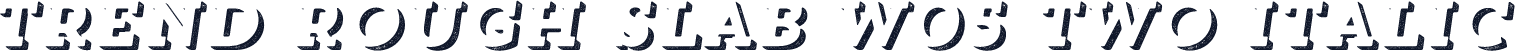 Trend Rough Slab W05 Two Italic