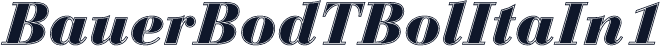 BauerBodTBolItaIn1