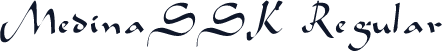 MedinaSSK Regular