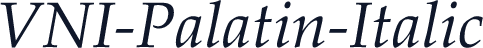 VNI-Palatin-Italic