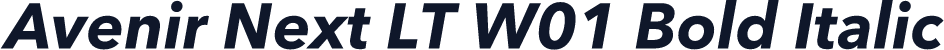 Avenir Next LT W01 Bold Italic