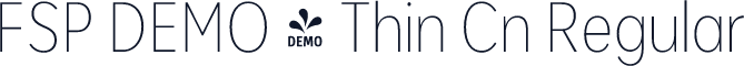 FSP DEMO - Thin Cn Regular