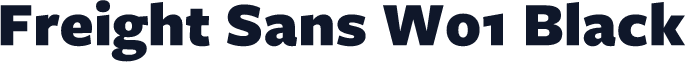 Freight Sans W01 Black