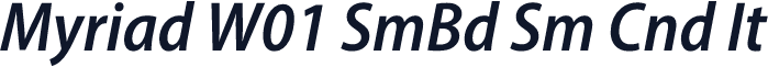 Myriad W01 SmBd Sm Cnd It