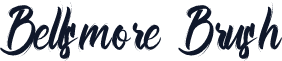 Bellsmore Brush