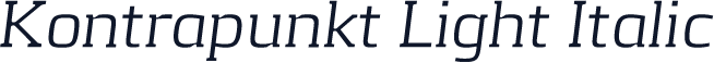 Kontrapunkt Light Italic
