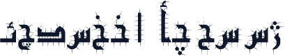 F_kufi1 Cactus