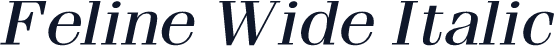 Feline Wide Italic