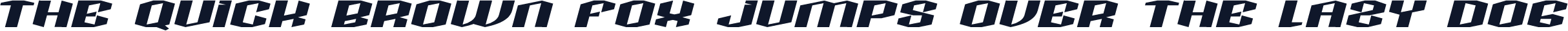 RacingRobotDemo
