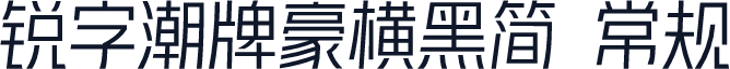 锐字潮牌豪横黑简 常规