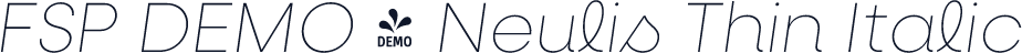 FSP DEMO - Neulis Thin Italic