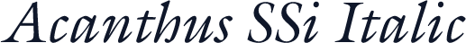 Acanthus SSi Italic