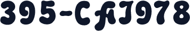 395-CAI978