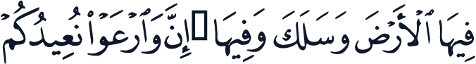 QCF_P315